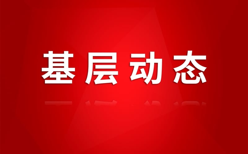 春满矿山雪花开 巾帼英姿更豪迈——海鑫矿业女职工工作纪实