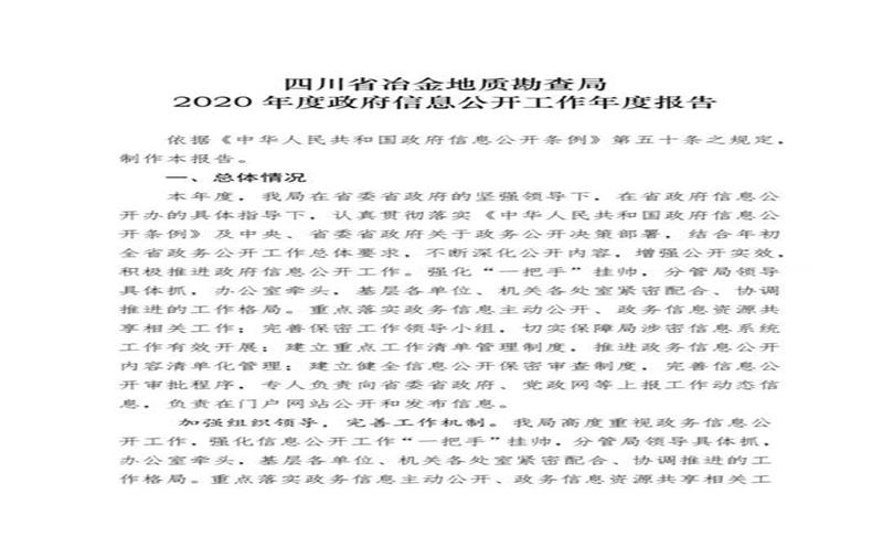 四川省冶金地质勘查局 2020年度政府华体会官方网页版工作年度报告