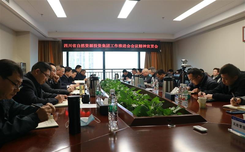 蜀通建设集团学习贯彻省自然资源投资集团重要会议精神及领导讲话精神