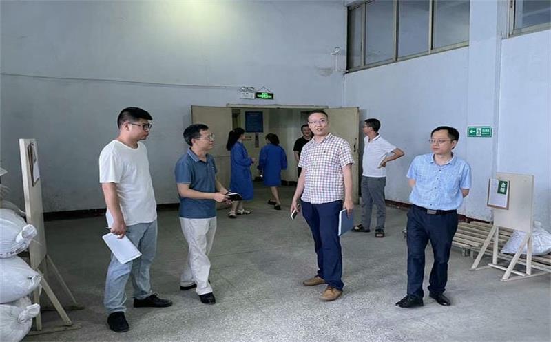 省自然资源投资集团安全检查第四督导小组到泰华堂制药进行安全生产检查